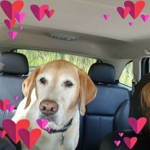 Meet your Posher, Sheila